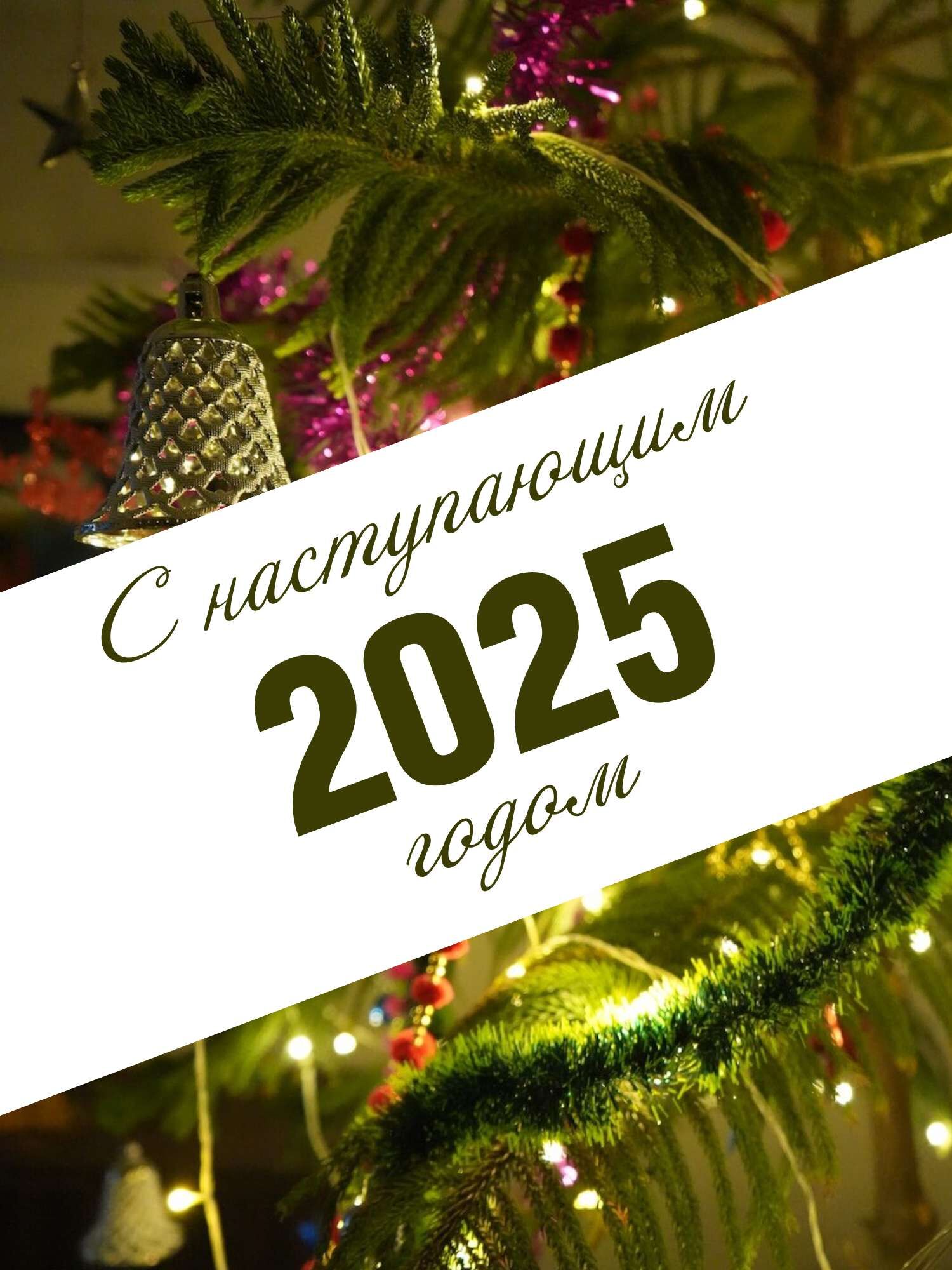 С наступающим Новым 2025 годом и Рождеством Христовым!.