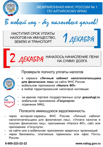 В новый год - без налоговых долгов!. В новый год - без налоговых долгов!.
